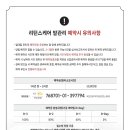 페도솔루션 이미지