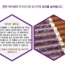 고려인삼총판 - 103033 | 고려인삼총판
