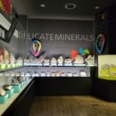 미호박물관 이미지