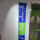강아지랑 떠나는 목포/제주여행: 목포&gt;제주 퀸메리호 솔직후기