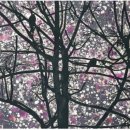 천연염색길 이미지