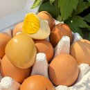 일산황토마루한증막 이미지