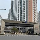 나나 애견 미용실 이미지