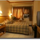 팜프라자 이미지