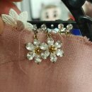 허니몽이 이미지