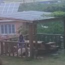 미르밭