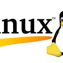 [Linux] 기초 | 리눅스 운영체제의 의미, 기능, 명령어 (+ 사담)