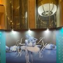 국립발레단 ’백조의 호수’ | 국립발레단 백조의호수 후기 (한나래, 양준영) | 예술의전당 오페라하우스 1층 B블럭 14열 시야