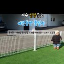 사계에반하다 이미지