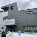백룡동굴 | 백룡동굴 투어 평창 평생상생 프로그램 후기
