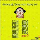 요고요고 이미지