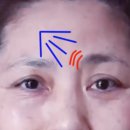 더디자인선 이미지