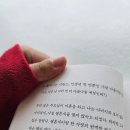 목화통닭 이미지