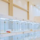 퍼피얌 그루밍 이미지