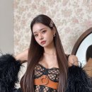 프리지아 이미지