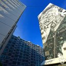 자갈치와 어머니 이미지