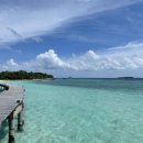 허니문2 이미지