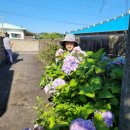 진서1농장 이미지