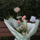 만다오식물방
