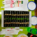 미스김꼬마김밥 이미지