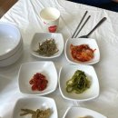 거제 현지인 맛집 해물칼국수 낙지볶음 대박난맛집 후기