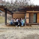 워시캠프 | [경기 양평]한옥 독채 펜션_찜질방_술과 바베큐 무제한:맑은숲캠프 상세후기