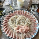 부산초장 | [내돈내산] 부산 광안리 맛집 미소회초장 | 모듬회 매운탕 솔직후기