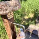 서부평화약국 | GPT한테 추천받은 서부 돌로미티 호수 수영 - Lago di Fie/ Laghetto di Fie/ Volser Weiher