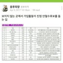 미디어소도