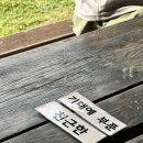 태은농장 | [안나] 서로를 &#39;성장하는 존재&#39;로 바라보는 일터를 담아내며