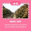 지명태양광발전소 이미지