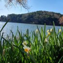 울주(울산) 이미지