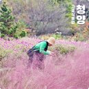 청양향교공자상 | 충남 청양 가볼만한곳 고운식물원 ~ 백제문화체험박물관 청양투어패스 여행코스