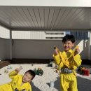 태권도키즈플레이 네이버블로그