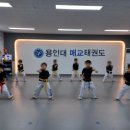 용인대 매교태권도장 이미지