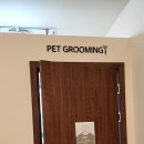 유폴 애견셀프목욕, 애견미용, 애견용품 직영점 이미지