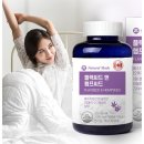 밤송이몰
