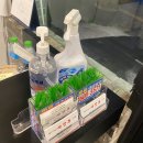 마장동고기집 신월점 소주 2천원 신월동 맛집 내돈내산 후기 가족외식 단체모임 추천