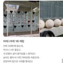 런드리코어 | 하루 만에 마감된 “BODY VOTE DAY” 바레 원데이클래스, in 바레스바레 광주