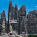 춘성농장 이미지