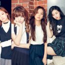 블랙핑크 카카오 검색결과