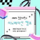 이노베이션 | 현장에서 배우는 문제해결과 창의력- 2025 청운대학교 이노베이션 캠프 후기