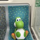 요시 - 성동구 | 요시