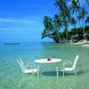 아름다움 이미지