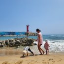 자라바위캠핑장 상 | [강원도 고성] 반암오토캠핑장 25번 후기: 500급 카라반도 거뜬한 사이트 크기와 숨은 명당