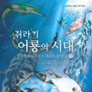 어룡 이미지
