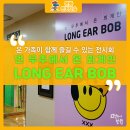 갤러리BOB 이미지