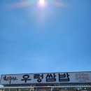 천수만우렁쌈밥 | 태안 맛집, 안면도 현지인이 추천하는 천수만우렁쌈밥 | 솔직후기