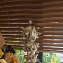 미래를 읽는 사주&타로 이미지