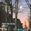 보다안경(상암점) | 혼다 히토미 세이마이네임 UFO 활동 끝! 덕질 로그 part.1 ( 팝업 사녹 미팬 아돌라 뮤뱅1위 팬싸까지)